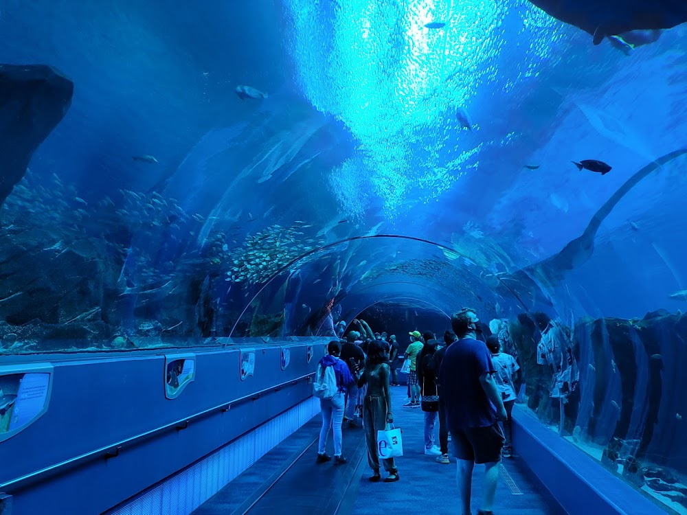 Georgia Aquarium